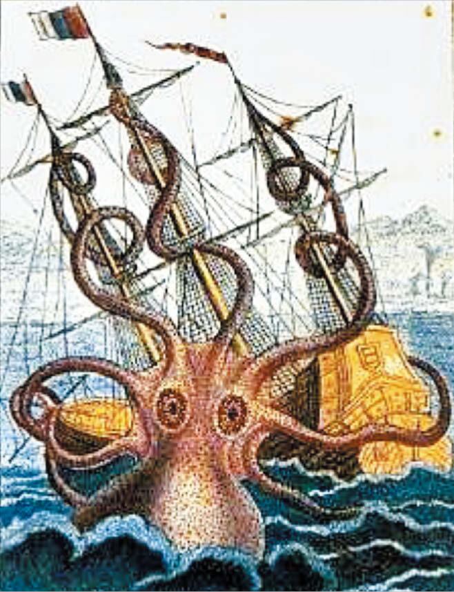 ‘크라켄’ 진짜였나… “19m 괴물 문어가 바다를 지배했다”