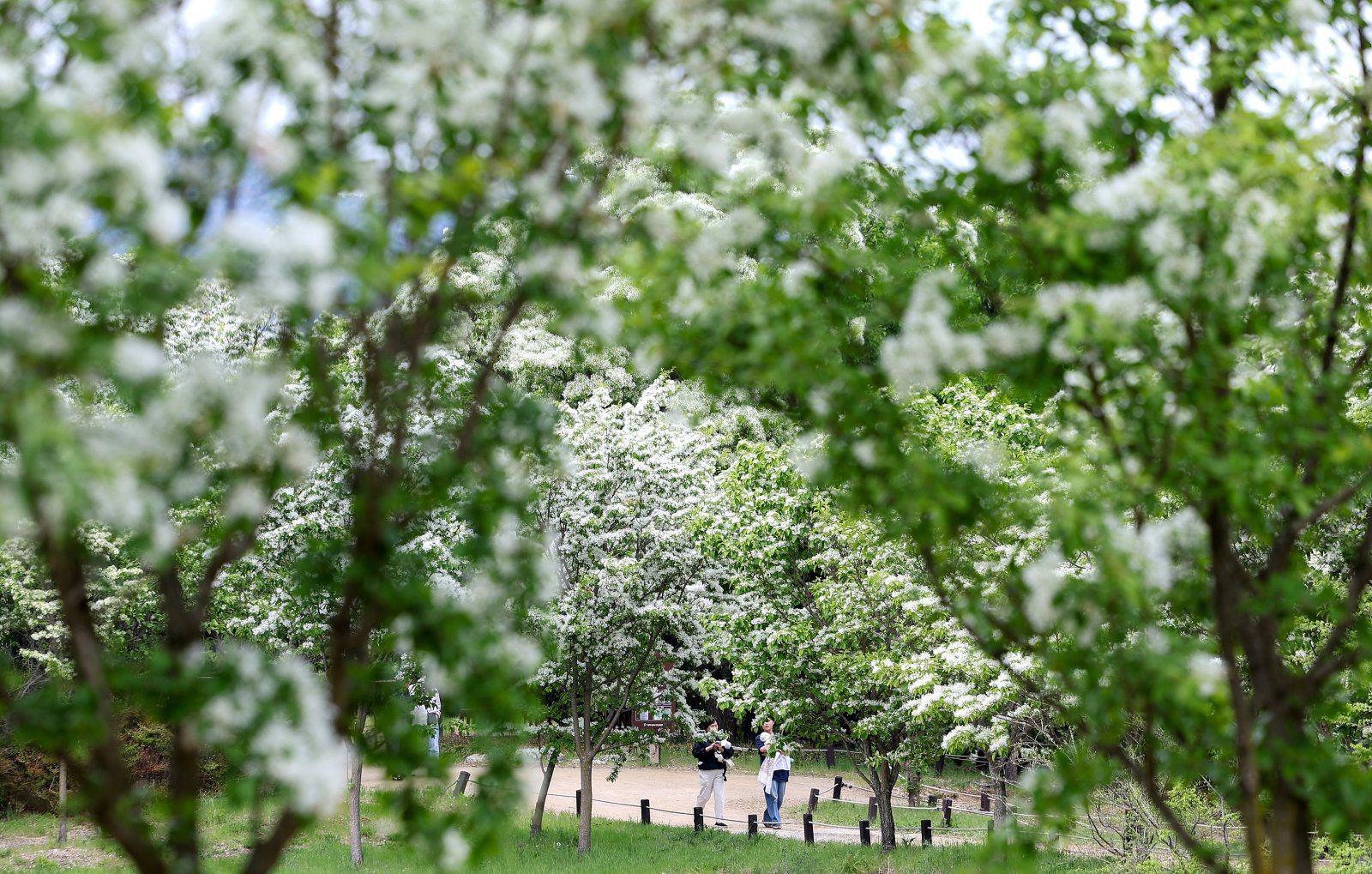 내일 아침까지 남부지방 비…내륙 중심 일교차 주의