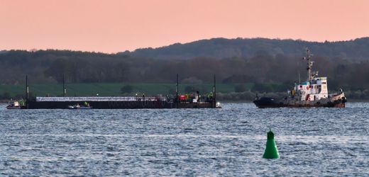 Ostsee-Wal-News heute: Dänemark will nicht helfen, wenn der Wal wieder strandet