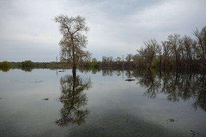 Над Волгой нависла фекальная угроза