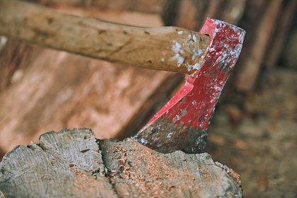 Мужчина зарубил отца топором и инсценировал нападение тигра