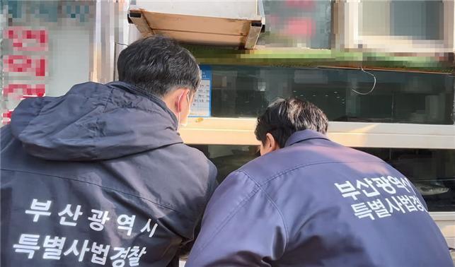 부산시 ‘먹거리 안전’ 점검 나선다…BTS 공연 앞두고 손님맞이 준비