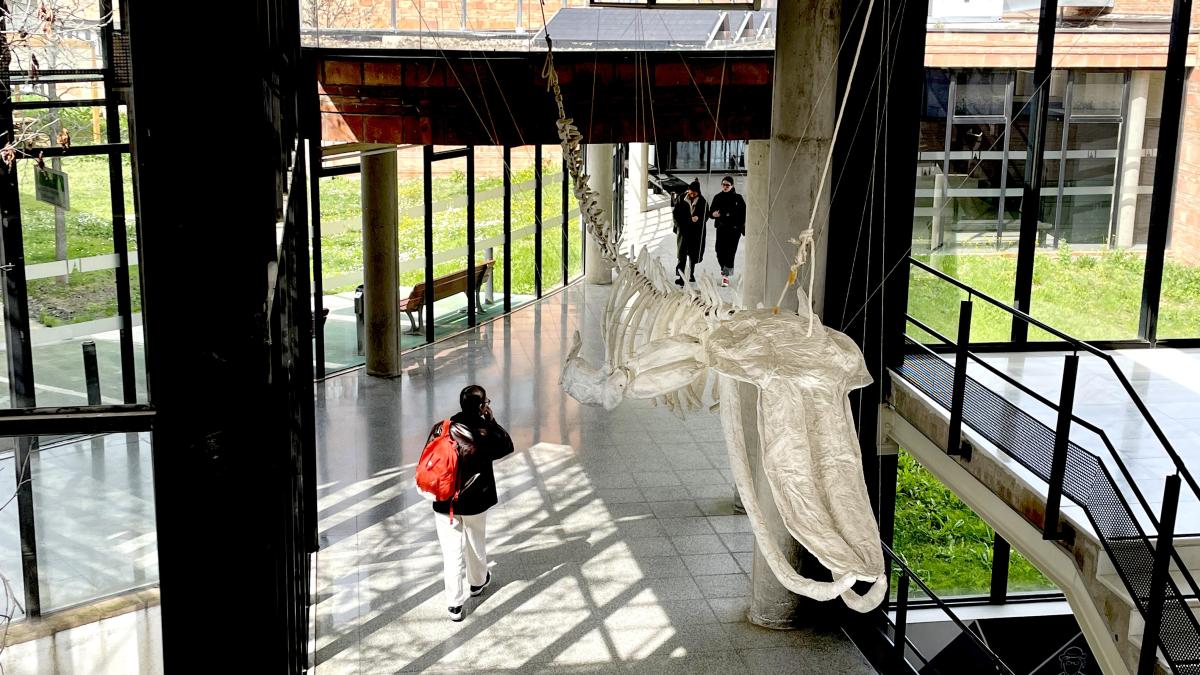 El absentismo crece en la universidad: solo la mitad asiste a clase de forma regular