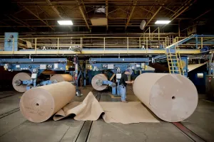 Suzano (SUZB3) apresenta resultados abaixo do esperado e ações reagem com queda