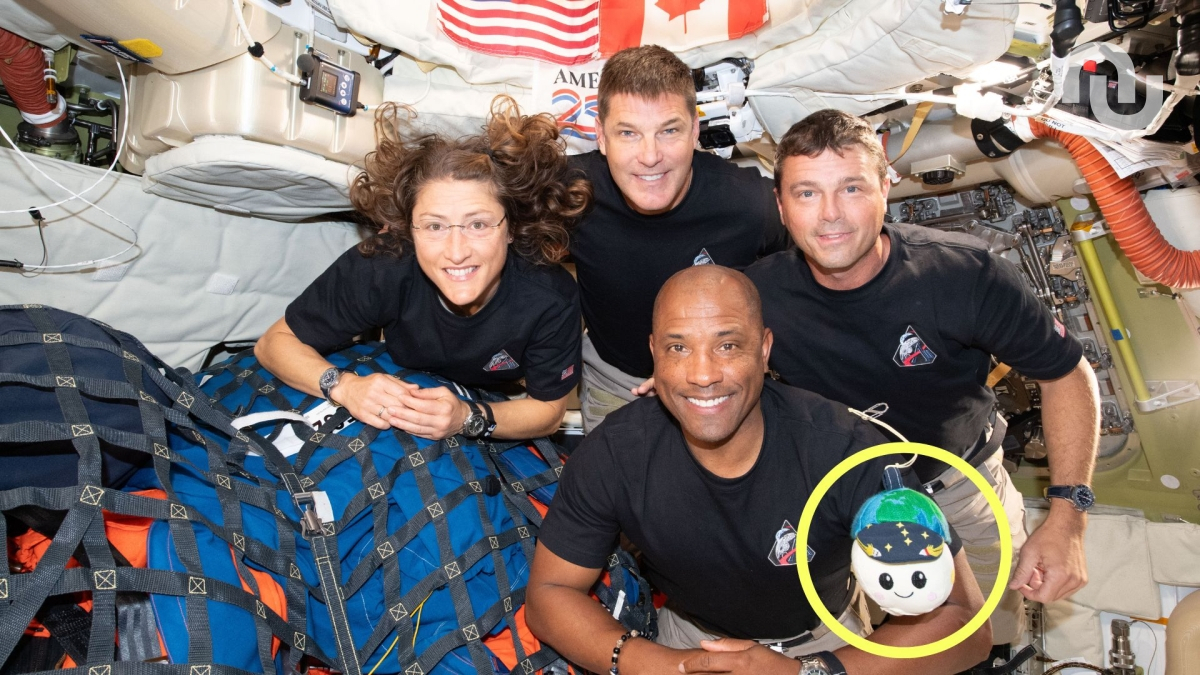 Artémis II : la Nasa vend enfin la peluche officielle Rise, voici comment l’acheter