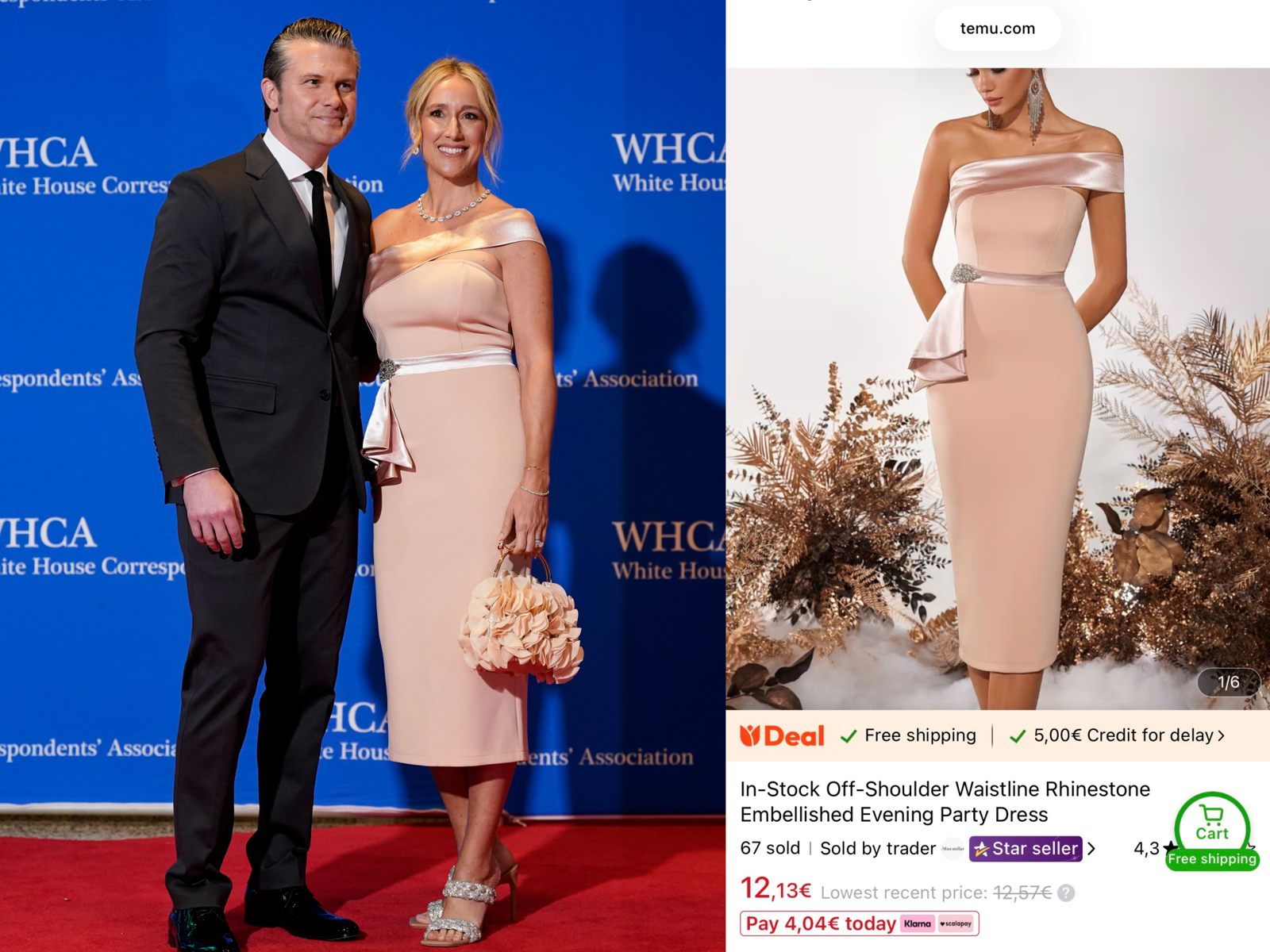 ‘미국이 먼저’라더니…美국방장관 부인 ‘6만원대 中 드레스’ 논란