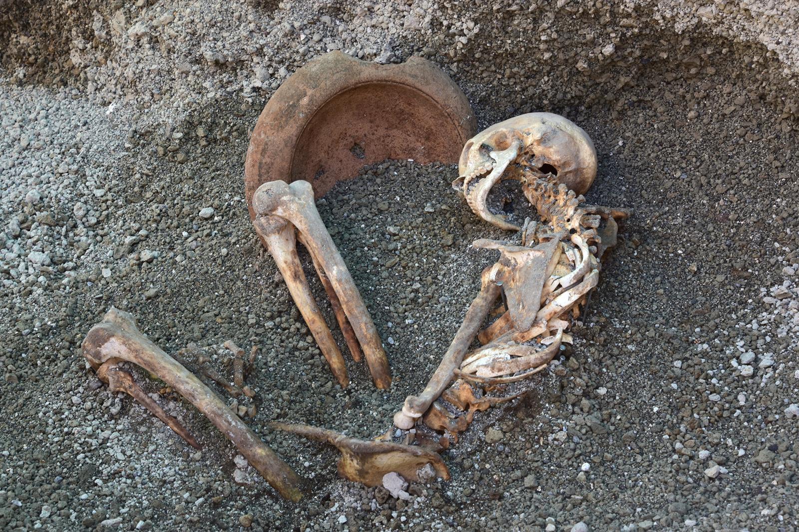 폼페이 화산 희생자 얼굴, AI로 되살렸다…2000년 전 탈출 순간 복원