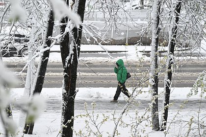Москва приблизилась к метеорекорду почти вековой давности