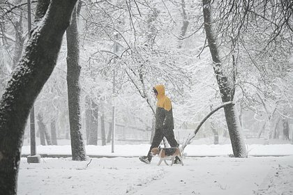 В Москве за день выпала половина месячной нормы осадков