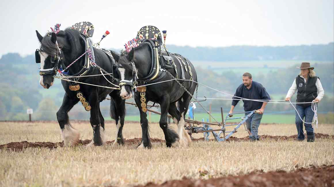 AI companies are just companies