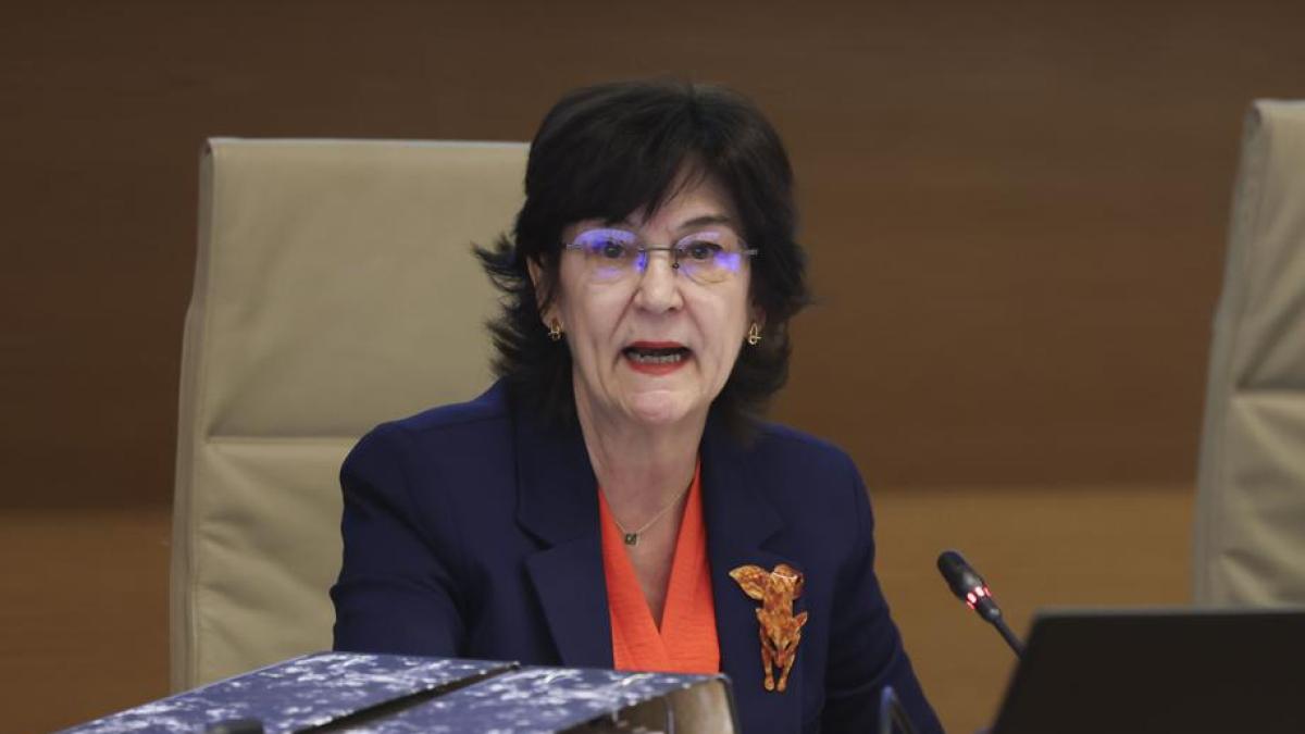 Cani Fernández: “La saturación de la red eléctrica es más contractual que real”