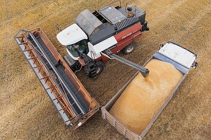 В России приготовились к проблемам с урожаем