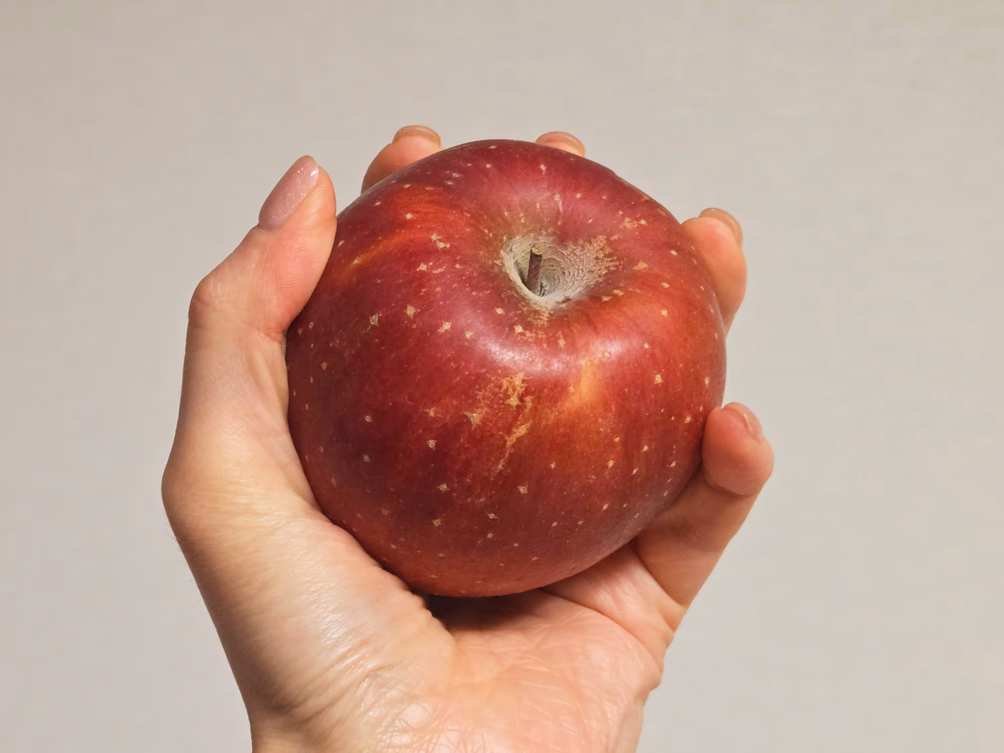 이렇게 싼데 달고 아삭하기까지, 영주 ‘주먹 부사’ 25개 4만원대 특가