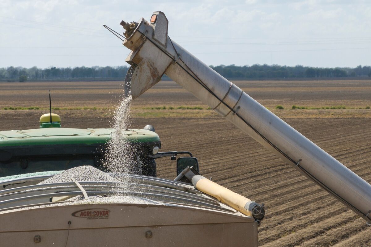 Kalshi Bows to Agriculture Industry Pushback on Trading Hours