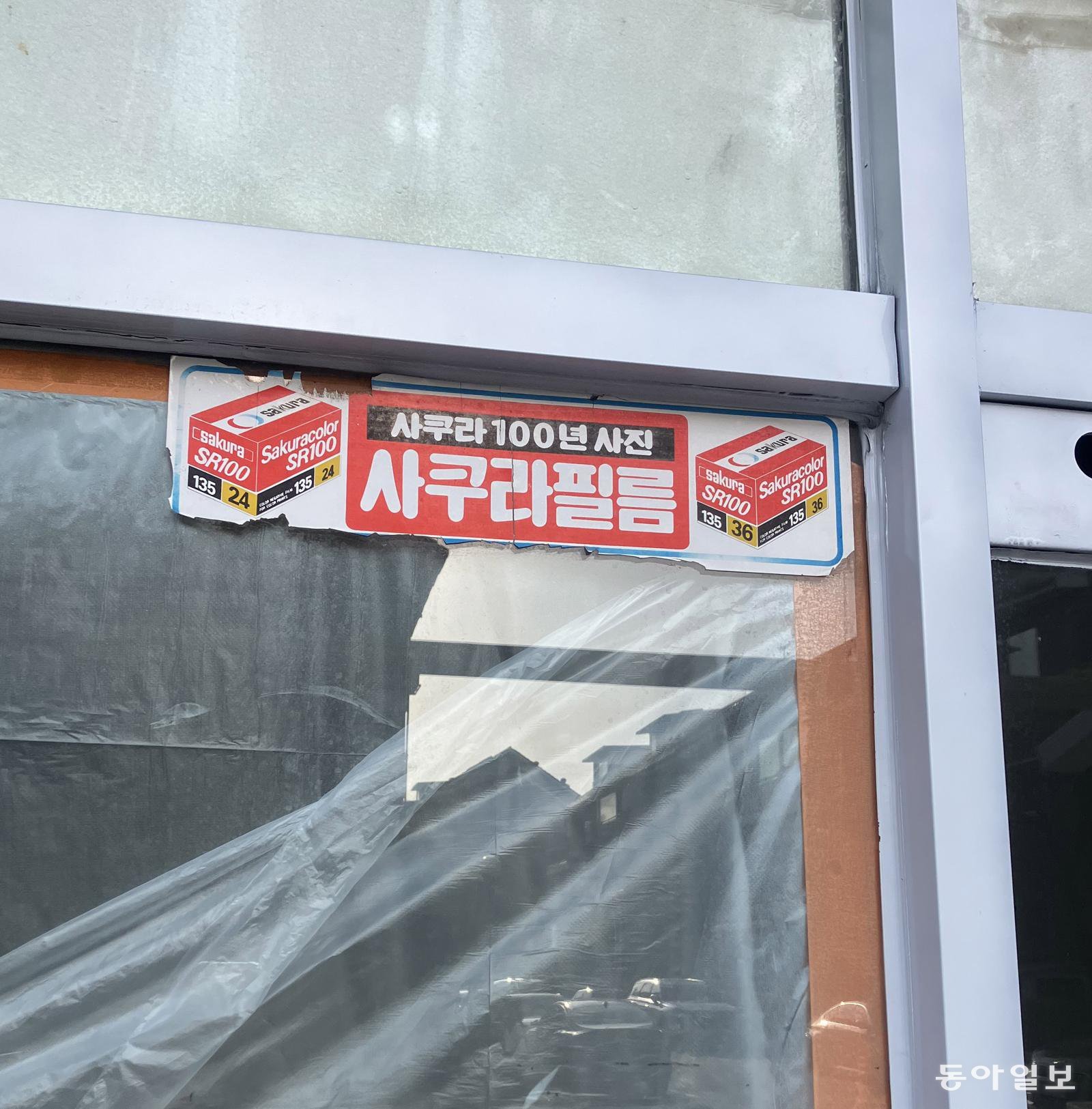 [고양이 눈]100년을 산다는 것