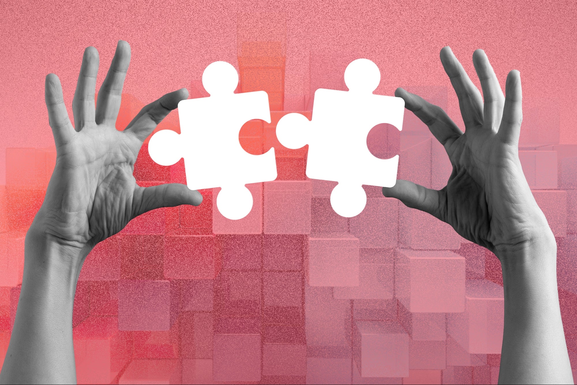 Real Leaders Don’t Just Spot Problems in Their Business — They Own the Fixes. Here’s How.