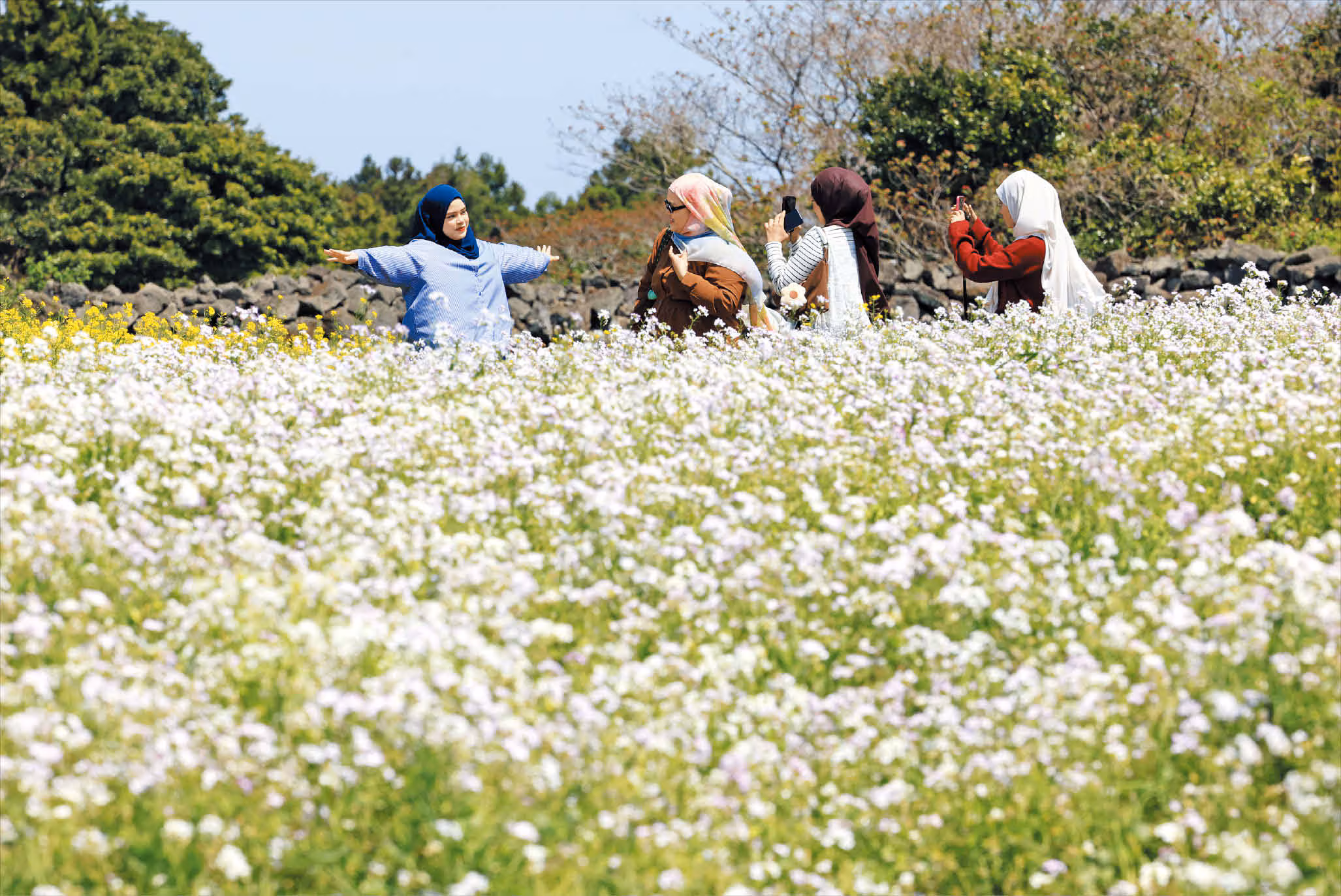 외국인 관광객도 반해버린 제주의 봄