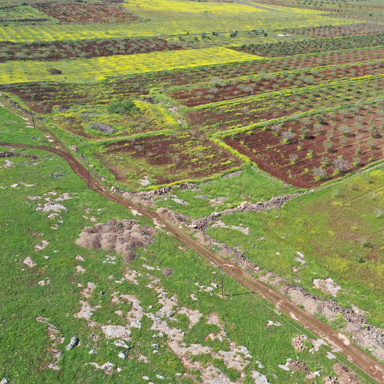 Japonlar ve Çinliler Şanlıurfa'ya geliyor! Bir ilk olacak