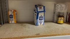 Food bank stocks 'low as client numbers increase'