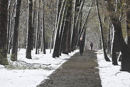 Москвичам назвали время схода снега