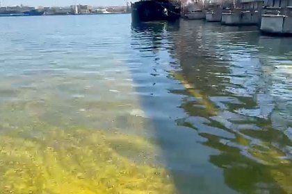 Под Одессой разлилось подсолнечное масло