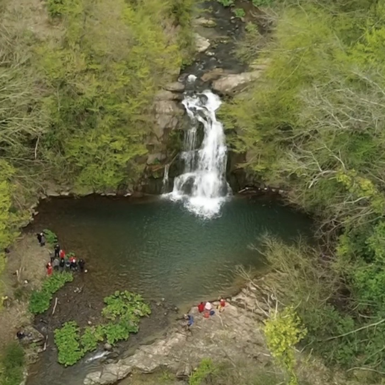 Ormanın içinde saklı cennet!