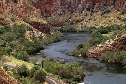 Пловец проплыл 55 километров по кишащей крокодилами реке