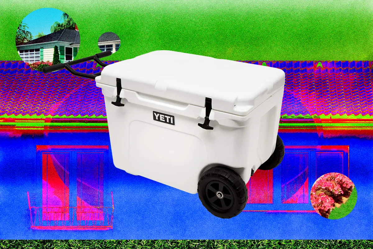 13 Best Coolers for Sunshine and Nighttime (2026)