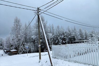 В Подмосковье из-за мощного снегопада без света осталось полсотни поселков