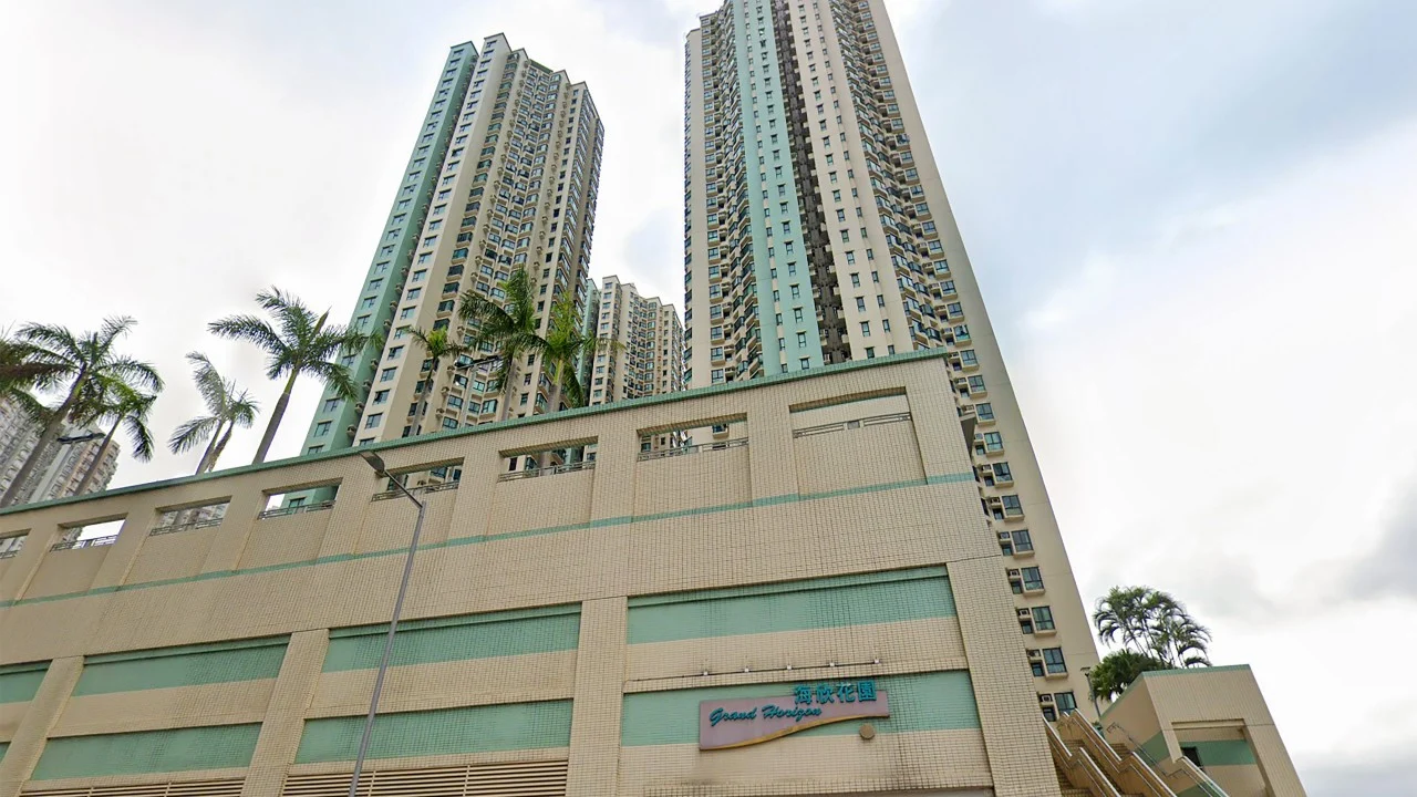 Helper arrested in Hong Kong for allegedly putting 2 young boys in dog cage