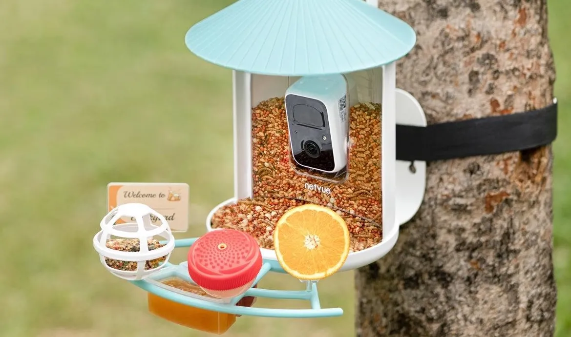 Birdfy’s smart bird feeder is down to its best-ever price for Mother’s Day