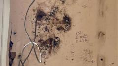 Four arrested over suspected home insulation scheme fraud