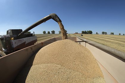 ЕК пригрозила санкциями компаниям третьих стран за закупку зерна в Донбассе