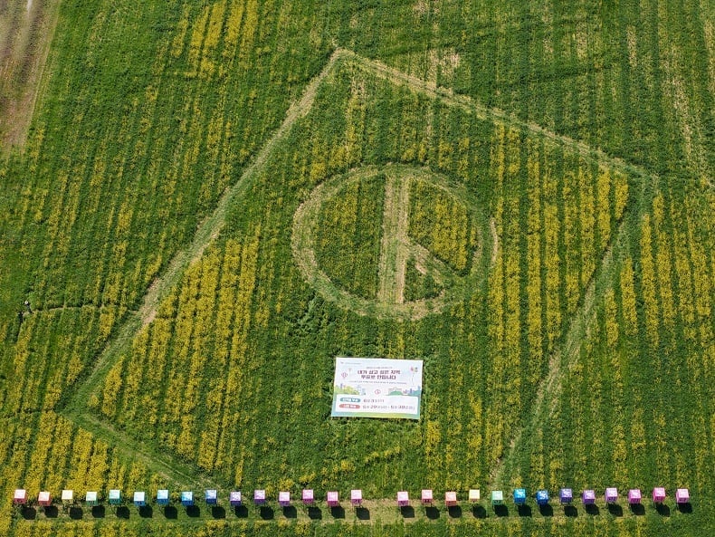 선거 때만 잠깐 보여지는 범죄 기록… “알 권리 위해 당선자는 상시 공개해야”