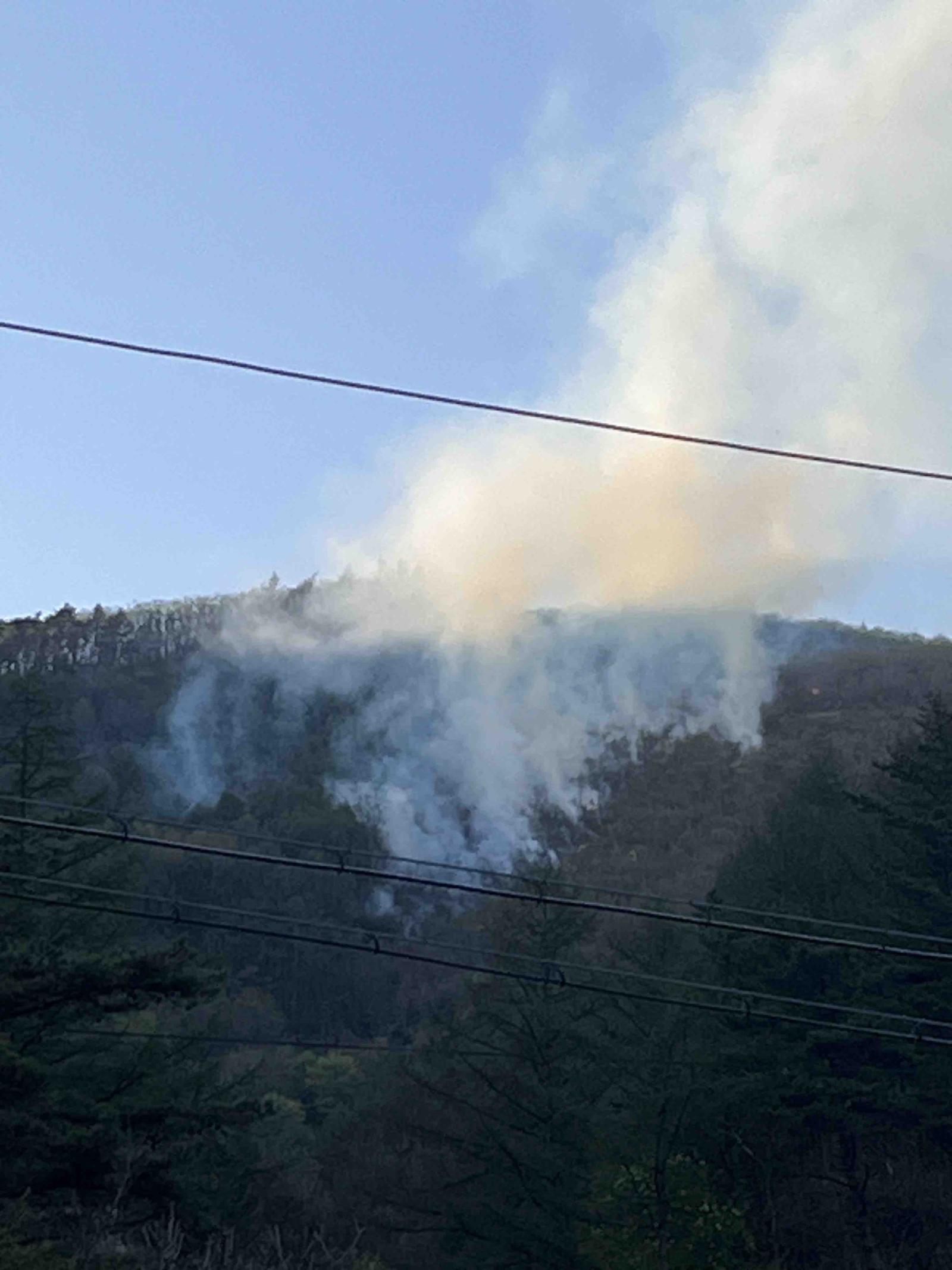 삼척 산불 1시간 27분 만에 진화…일몰 전 주불 잡아