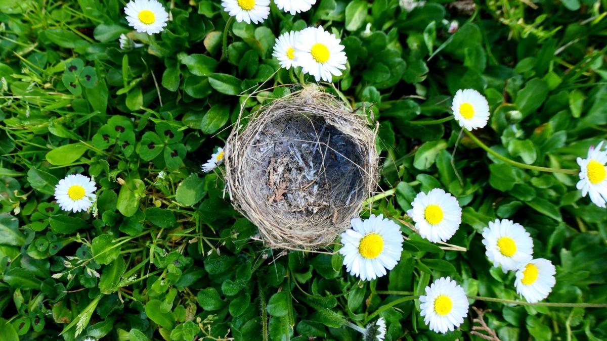 El síndrome del nido vacío no existe