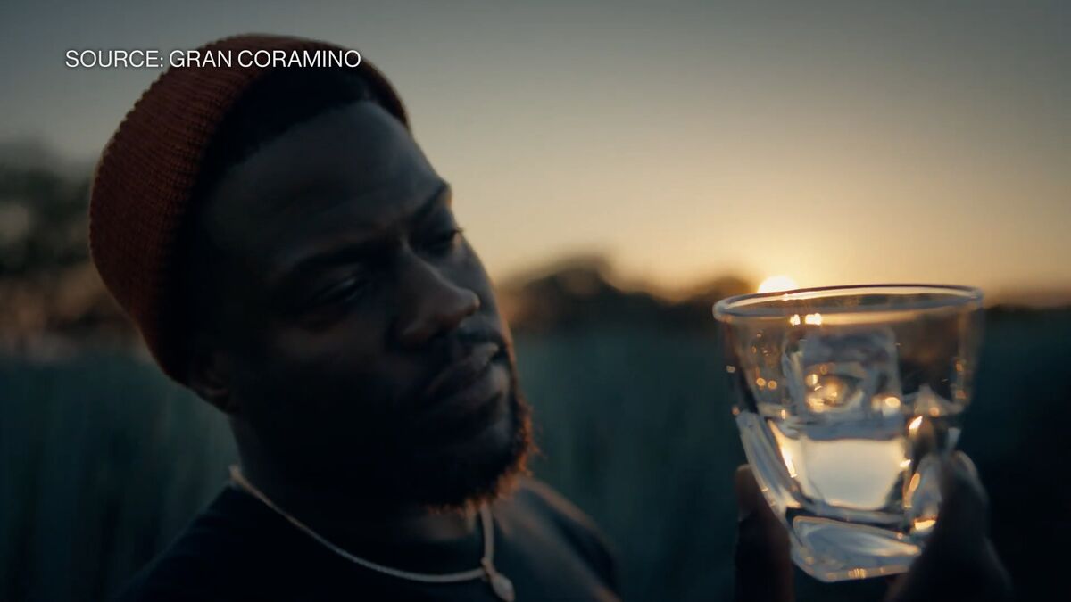 Kevin Hart: Wanted 'Skin in the Game' in Tequila
