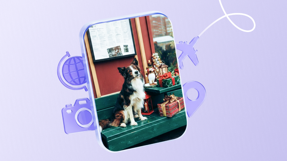 Как совместить работу и путешествие на 1000+ км (заметки собаки)