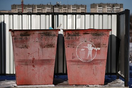 Россиян предупредили о штрафе за выброс некоторых отходов в контейнер