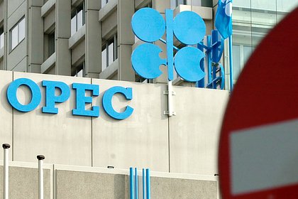 ОПЕК спрогнозировали незавидную участь после выхода ОАЭ