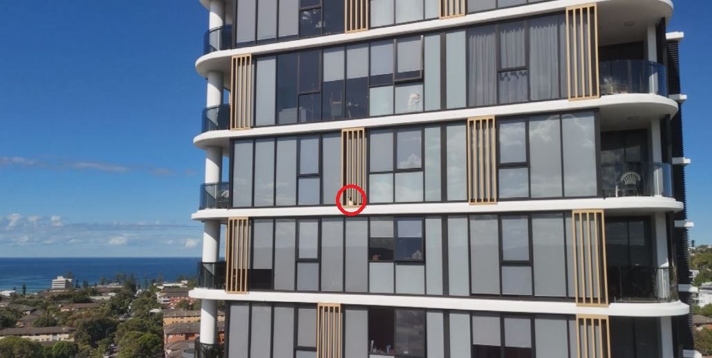 고층 아파트서 실종된 반려견…13층 난간에 끼어 있었다