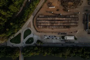 BBI: O que está fazendo as ações da Suzano caírem desde o fim de fevereiro?