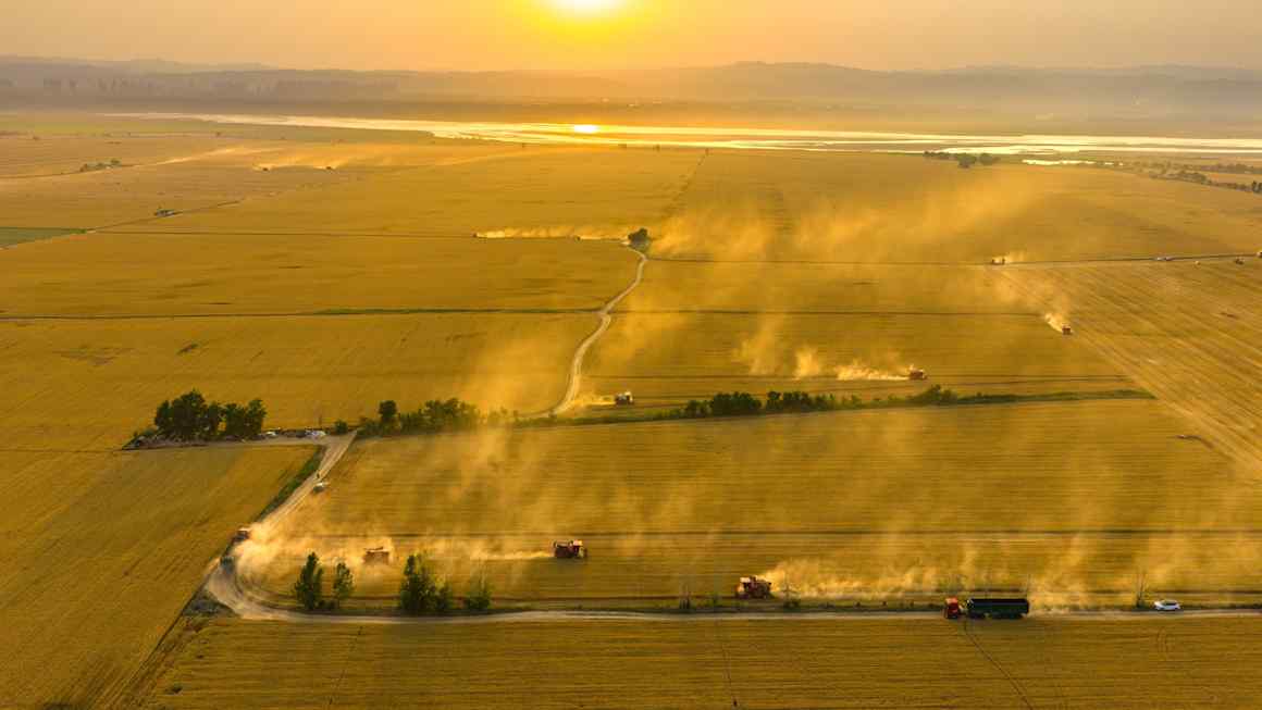 Is China decoupling on food?