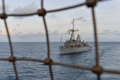 Дикая обезьяна помешала разминированию Ормузского пролива