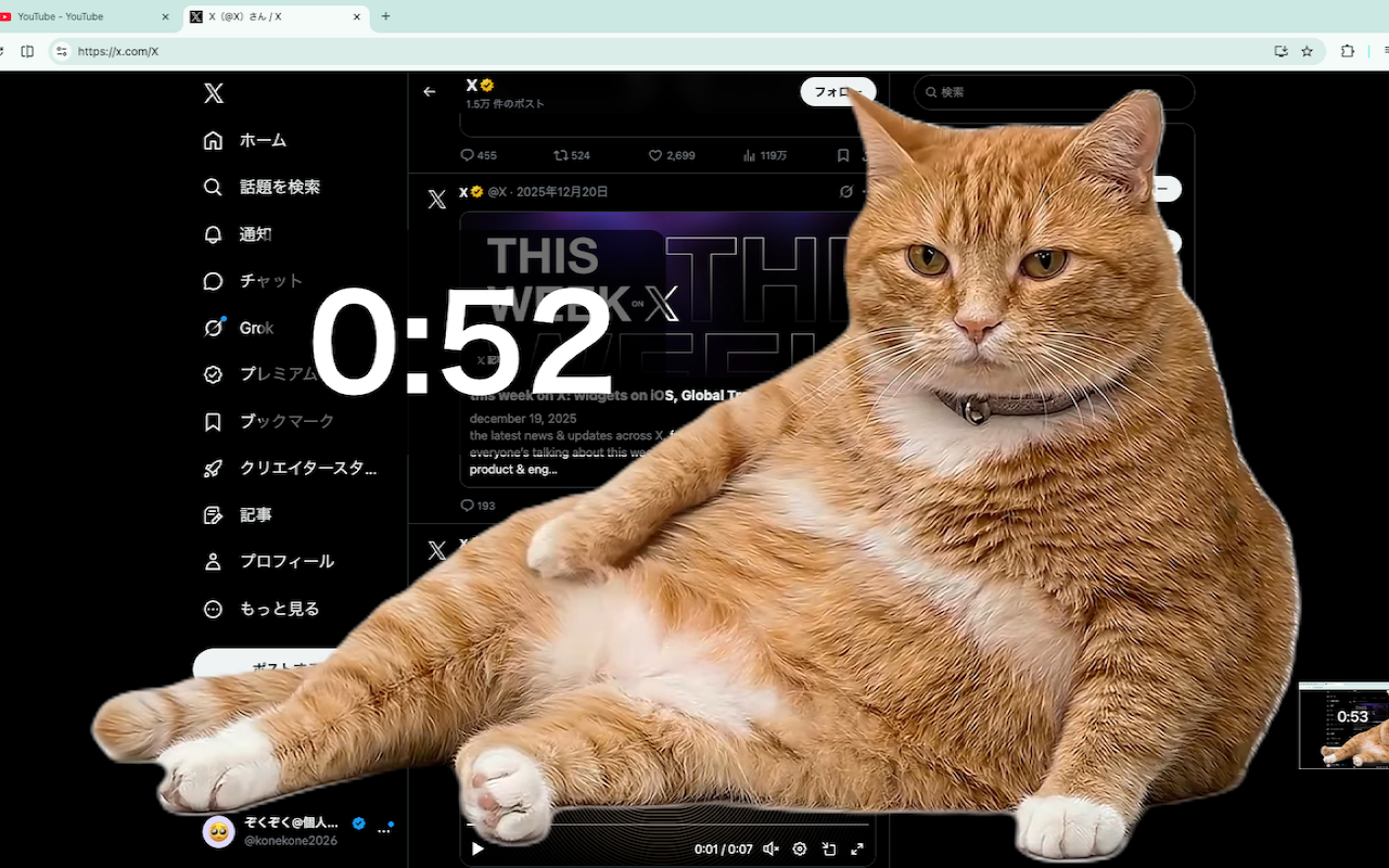 “실리콘밸리 이긴 뚱냥이?”… SNS 중독 막는 인디앱 화제