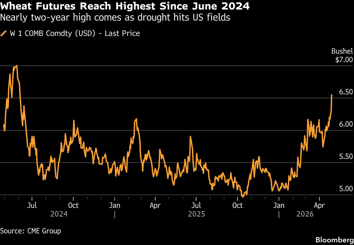 Wheat Highest Since 2024 as Drought, Fertilizer Costs Hit Supply