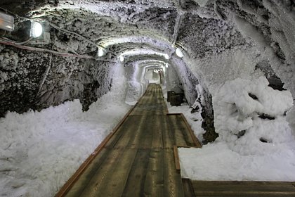 Оценена опасность вирусов в вечной мерзлоте