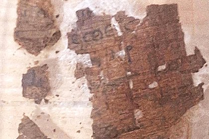 Ученые сделали загадочную находку внутри древнеегипетской мумии