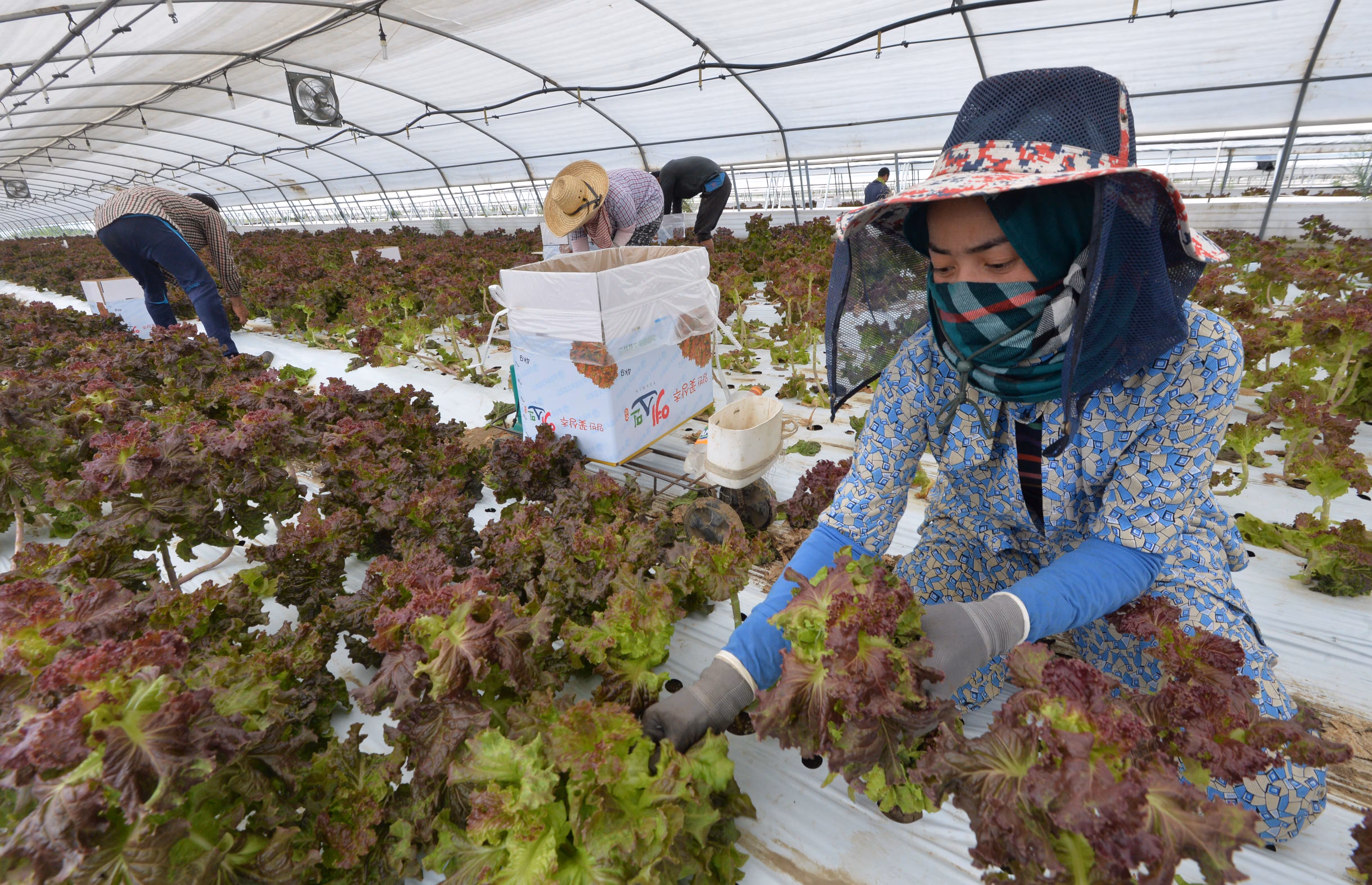 외국인 근로자, 출국 않고도 최장 9년 8개월간 한국서 일하게 된다