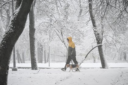 В Москве пройден пик снегопада